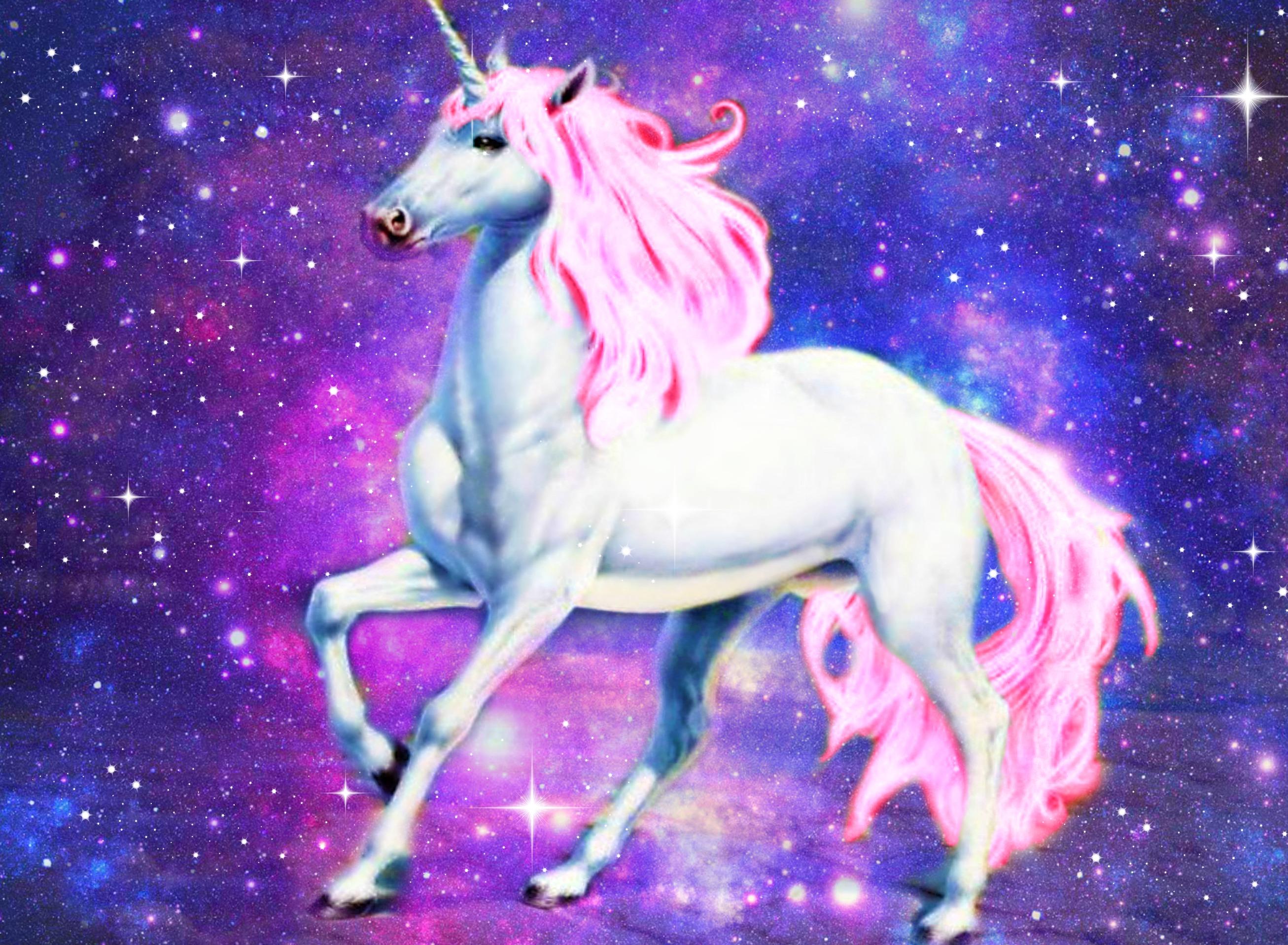 What S Meaning Of Unicorn