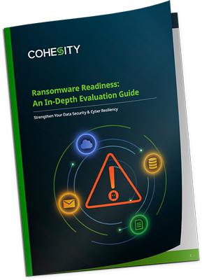 Ransomware Readiness: An In-Depth Evaluation Guide